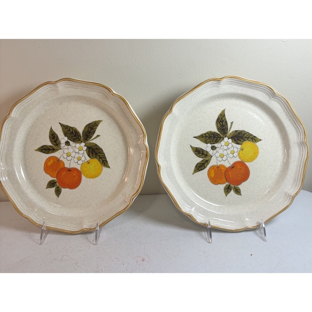 Mikasa Garden Club DELIGHT Dinner Plates 10.5" EC460 Pattern Japan 2Pc